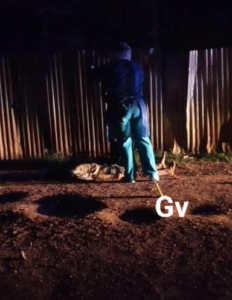 Cuerpo sin vida de José Midares Kiapa Vanegas. Foto: Georgina Vargas/ periodista. 