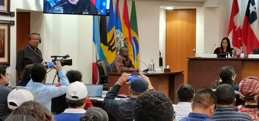 Indígenas y afrodescendientes