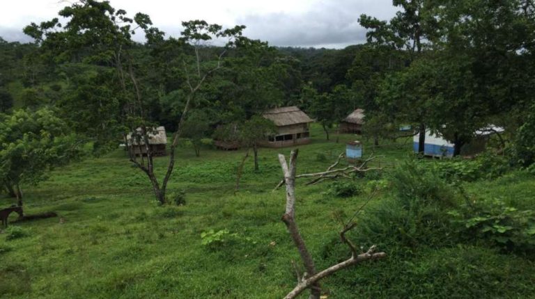 Rama y Kriol en autocuarentena