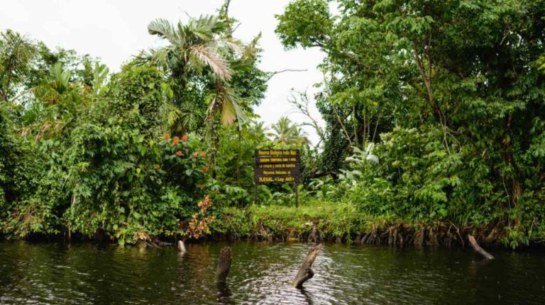iglesias colonizan Indio Maíz