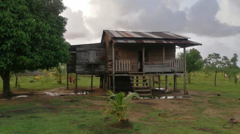 colonos raptan a menor