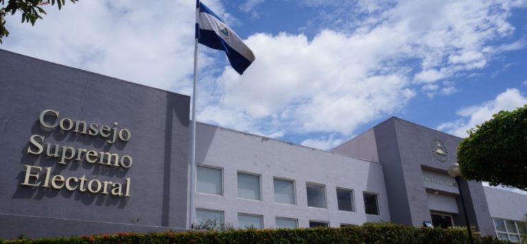 acompañantes electorales