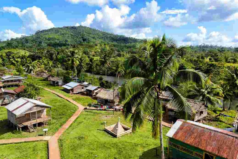 Comunitarios y colonos