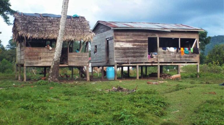 indígenas mayagnas colonos