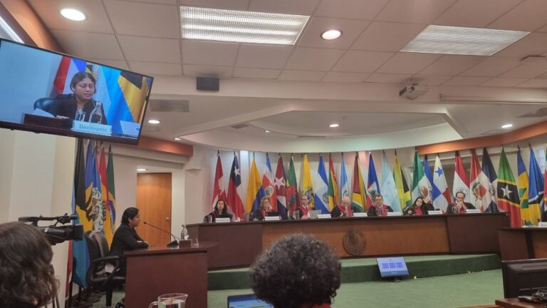 Indígenas y afrodescendientes